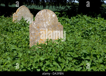 Überwucherten Grabsteinen umgeben von Brennesseln Stockfoto