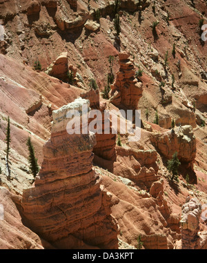 Norden übersehen, Cedar Breaks, UT 890827 030 Stockfoto