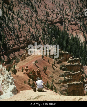 Fotograf, North übersehen, Cedar Breaks, UT 890827 031 Stockfoto