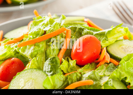 Frische Bio grüner Salat mit Karotten und Gurken Stockfoto