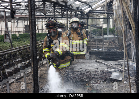 Feuerwehrleute arbeiten einer Szenenverlaufs zu einen Brand in einem Gewächshaus zu begießen. Verbrannten Pflanzen auf den Tischen Stockfoto