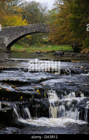 Stainforth Kraft auf dem Fluss Ribble im Herbst mit der alten Pack-Pferd-Brücke im Hintergrund. Stainforth, Yorkshire Dales Stockfoto