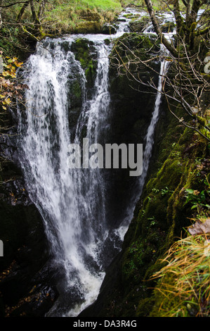 Catrigg Kraft auf Stainforth Beck, Kaskadierung durch eine schmale Schlucht oberhalb Dorf Stainforth in Yorkshire Dales Stockfoto