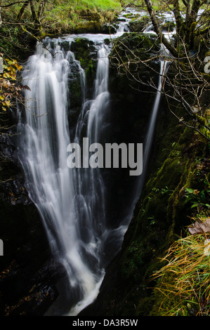 Catrigg Kraft auf Stainforth Beck, Kaskadierung durch eine schmale Schlucht oberhalb Dorf Stainforth in Yorkshire Dales Stockfoto