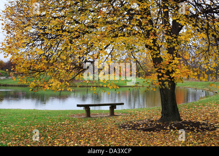 Eine Parkbank neben einem Teich und einem bunten Baum an einem regnerischen Tag im Herbst, südwestlichen Ohio, USA Stockfoto