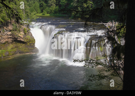 Lower Lewis River Falls im US-Bundesstaat Washington Stockfoto