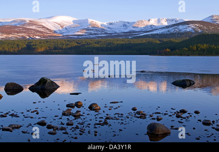 Cairngorm und der nördlichen Hochgebirgsflora, gesehen vom Loch Morlich in der Nähe von Aviemore, Winterabend, Cairngorms National Park, Schottland, Vereinigtes Königreich Stockfoto