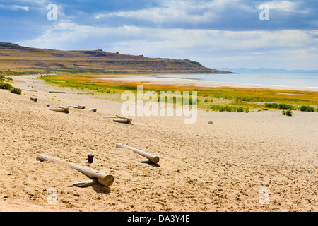 Teilweise bewölkt Frühlingstag in Bridger Bay auf Antelope Island außerhalb Salt Lake City, Utah Stockfoto