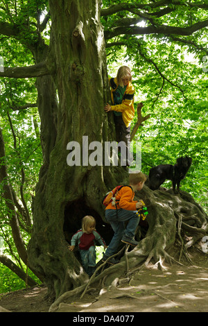 Kinder spielen auf einem alten Baum Stockfoto