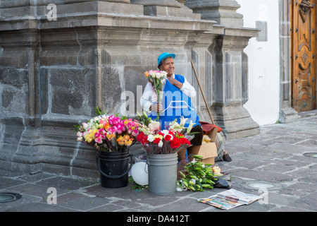 Frau verkaufen Blumen vor Sagrario Kirche, Quito, Ecuador Stockfoto