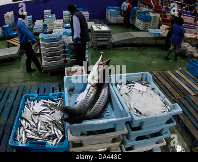 Aufnahmen in Kisten gestapelt sind in Palma de Mallorca Fischmarkt gesehen. Stockfoto