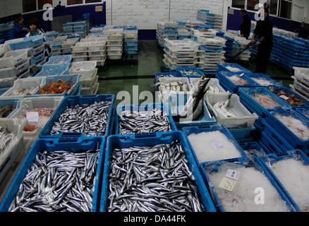 Aufnahmen in Kisten gestapelt sind in Palma de Mallorca Fischmarkt gesehen. Stockfoto