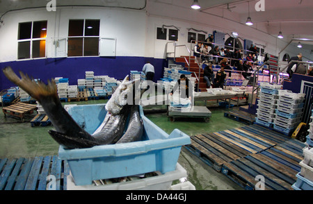 Aufnahmen in Kisten gestapelt sind in Palma de Mallorca Fischmarkt gesehen. Stockfoto