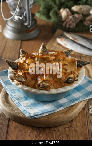 Stargazy Torte West Country Fisch Gericht Cornwall UK Stockfoto