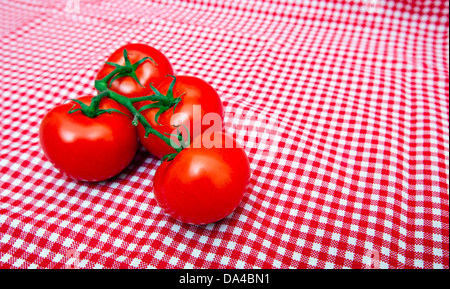 Roten strauchtomaten gegen rot-weiß karierte Tuch Stockfoto