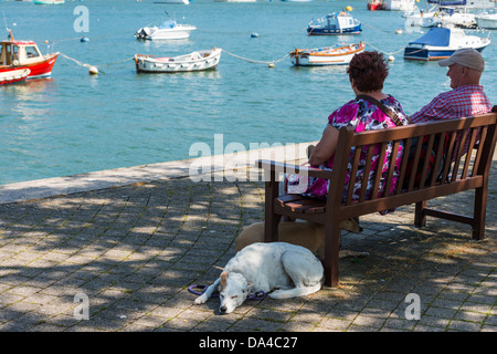 Dartmouth, Devon, England. 1. Juli 2013. Ein älteres Paar und ihre zwei Hunde genießen die Aussicht auf den Fluss Dart. Stockfoto