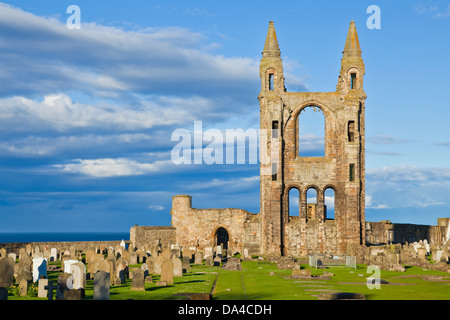 St. Andrews Schottland Ruinen von St. Andrews Cathedral Royal Burgh von St. Andrews Fife Schottland GB Europa Stockfoto