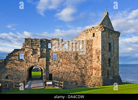 St Andrews Scotland St Andrews Castle eine malerische Ruine an der Küste des Royal Burgh von St Andrews Fife Scotland UK GB Europe Stockfoto