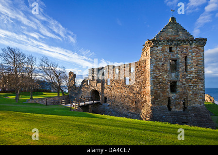 St Andrews Scotland St Andrews Castle eine malerische Ruine an der Küste des Royal Burgh of St Andrews in Fife Scotland UK GB Europe Stockfoto