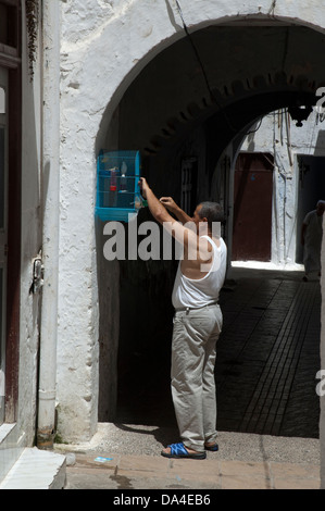 Mann sein Haustieren Vogel in einer Gasse in Rabat, Marokko Stockfoto