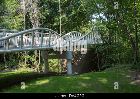 Blick auf den Wald von der Dreistadt Gdingen, Sopot und Danzig. Stockfoto