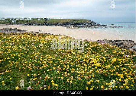 Ein Blick auf Porthcothan Bay North Cornwall UK Stockfoto