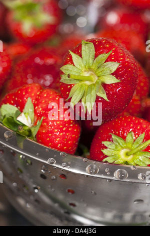 Nahaufnahme von roten Ernte frische Erdbeeren in einem Sieb aus Edelstahl Stockfoto