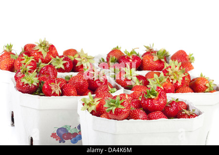 Viele Erdbeeren in Kartons, aufgereiht auf einem weißen Hintergrund Stockfoto