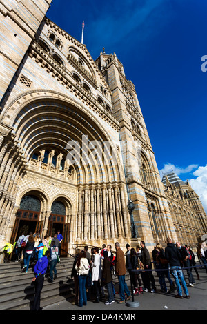 Natural History Museum in London Stockfoto