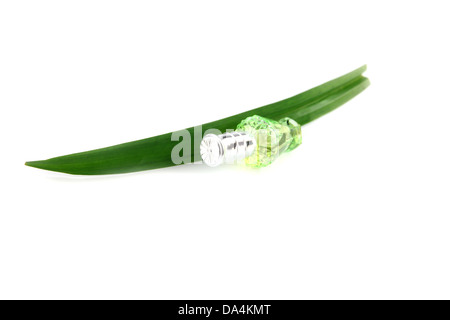 Grüne Flasche Parfüm und Pandanus auf weißem Hintergrund. Stockfoto