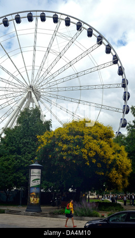 Sziget eye das größte mobile Riesenrad Europas befindet sich auf Erzsebet Platz Budapest Ungarn Europa Stockfoto