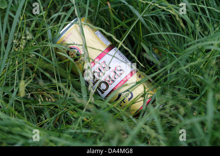 Carlsberg Special Brew können im Park verlassen Stockfoto