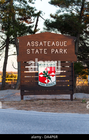 Assateague Island ist eine Insel 37 Meilen lange Barriere in Maryland und Virginia. Freuen Sie sich auf der Assateague Island National Seashore, Assateague State Park und der Chincoteague National Wildlife Refuge. Es ist bekannt für seine Herden von wilden Pferden, unberührte Strände und der Leuchtturm Assateague. Stockfoto