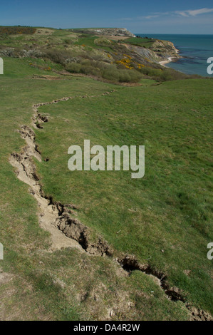 Risse in einem Feld oberhalb der Klippen in Osmington Mills. Teil des natürlichen Prozesses der Küstenerosion. Jurassic Coast, Dorset, England, UK. Stockfoto