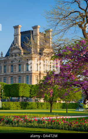 Frühling im Jardin des Tuileries mit Musee du Louvre hinaus Paris Frankreich Stockfoto