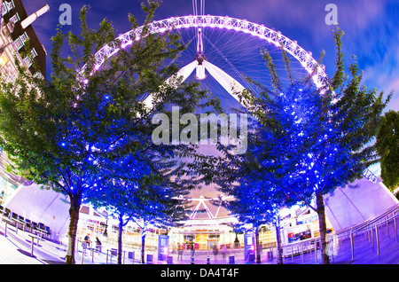 Das London Eye bei Nacht UK Stockfoto