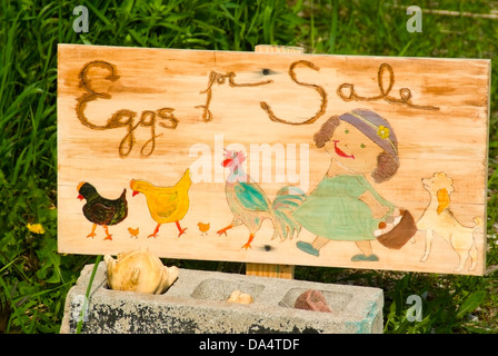 Schild am Straßenrand Bauernhofmarkt Verkauf von Eiern Stockfoto