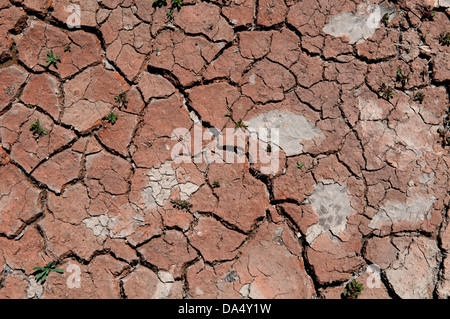 Land, trocken, Wüste, Dürre, geknackt Stockfoto