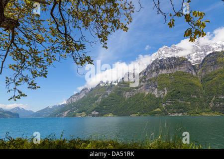 Bergsee Stockfoto