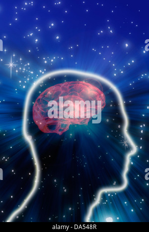 Mann-Kopfform mit Gehirn durchschaut Stockfoto
