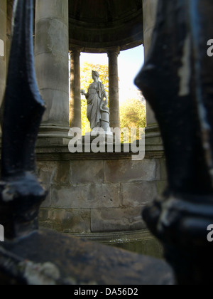 Saint Bernard gut Stockfoto