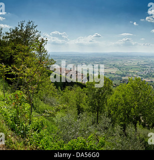 Cortona, Italien, Europa, Toskana, Toscana, Landschaft, grün Stockfoto