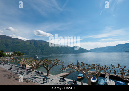 Schweiz, Europa, Ticino, Ascona, Lago Maggiore, See, Hafen, Hafen, Stockfoto