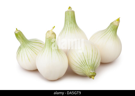 Zwiebeln weiß Gruppe auf weißem Hintergrund Stockfoto