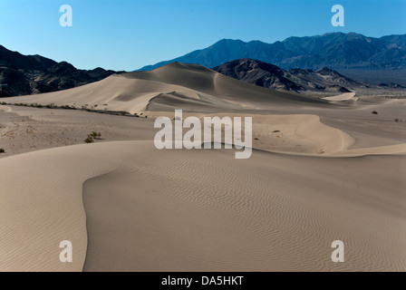 Steinbock Dünen, Death Valley National park, Kalifornien, Dünen, Wüste, USA, USA, Amerika, Landschaft, Stockfoto