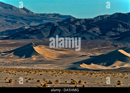 Steinbock Dünen, Death Valley National park, Kalifornien, Dünen, Wüste, USA, USA, Amerika, Landschaft, Stockfoto