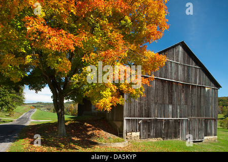 HERBST LAUB AUF ZWEI EBENE BANK SCHEUNE INDIANA COUNTY PENNSYLVANIA USA Stockfoto