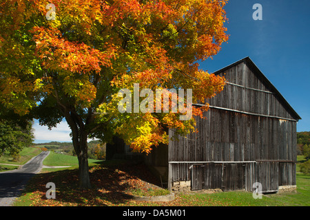 HERBST LAUB AUF ZWEI EBENE BANK SCHEUNE INDIANA COUNTY PENNSYLVANIA USA Stockfoto