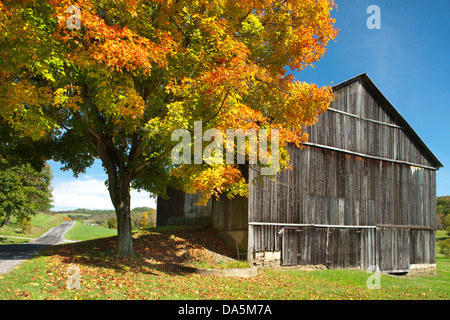 HERBST LAUB AUF ZWEI EBENE BANK SCHEUNE INDIANA COUNTY PENNSYLVANIA USA Stockfoto