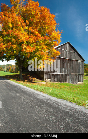 HERBST LAUB COUNTRY ROAD INDIANA COUNTY PENNSYLVANIA USA Stockfoto